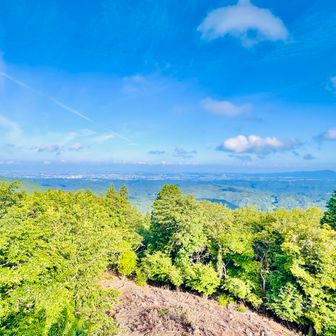 とりあえず
(多分)無駄に
展望台に登って今日の1枚📷