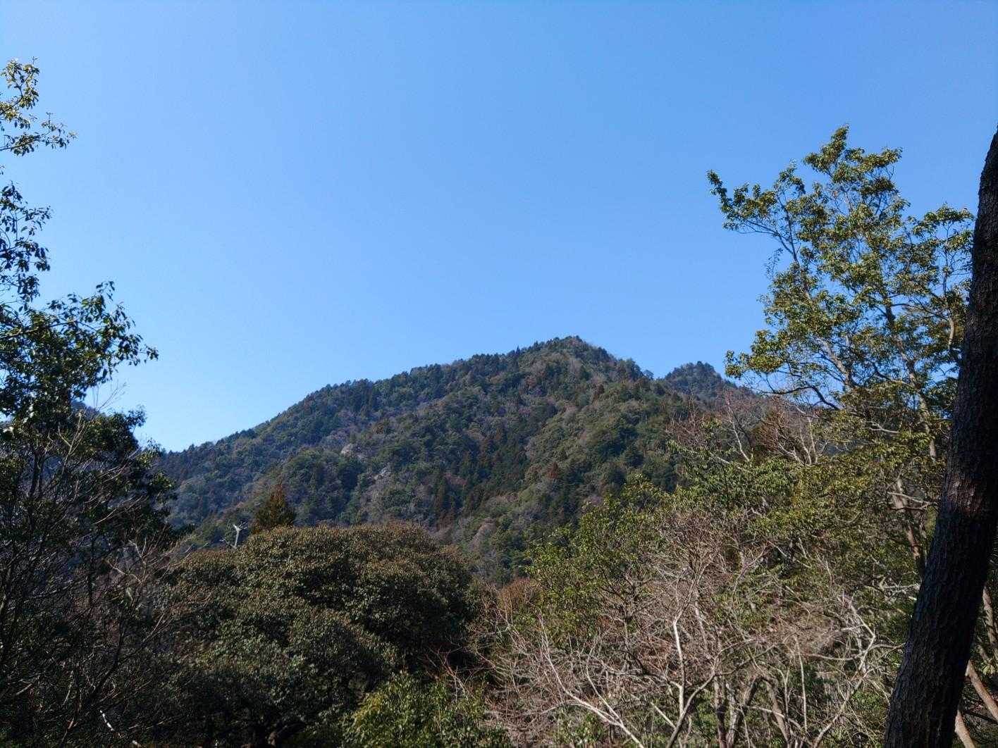 七種山⛰️が見えてます！
ここからが下山するんかと思うぐらいに降りる😅
景色とはおさらば🙋
樹林帯を歩く🤦