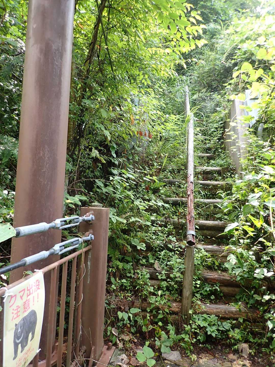 吊り橋渡ってまた階段を登る。熊注意⚠️もちろん熊鈴はずっと鳴らしてました