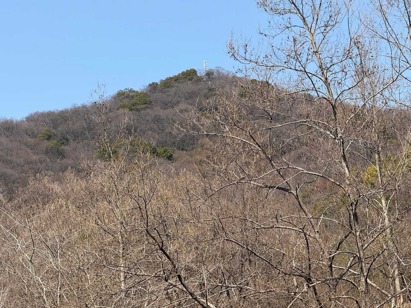 駐車場🅿️から目指す三毳山