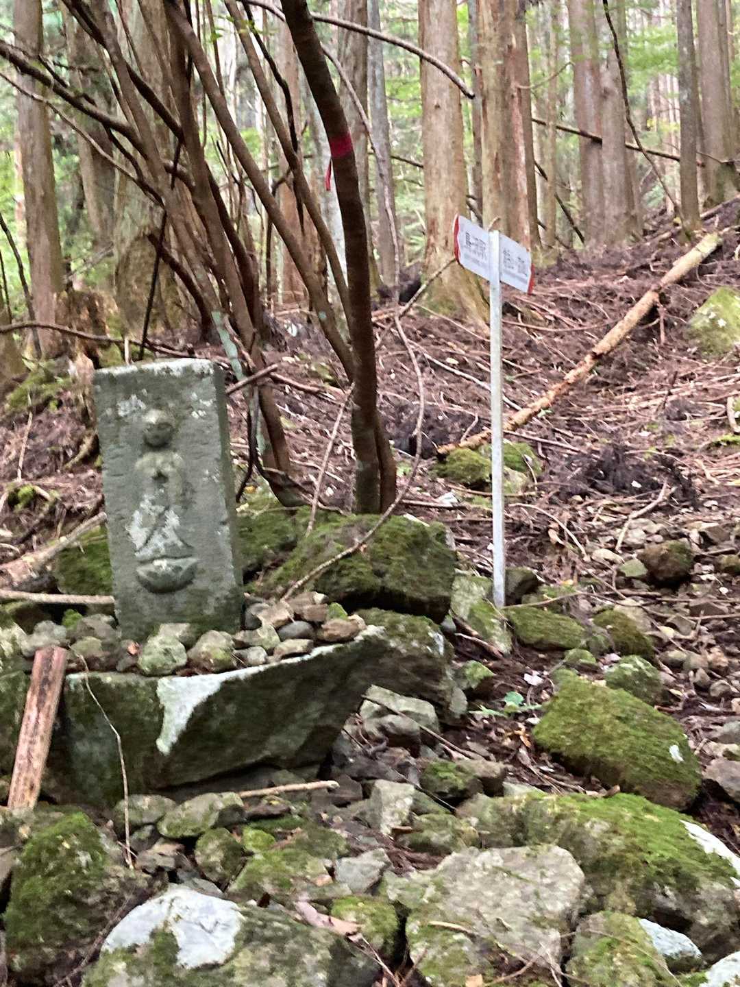 何とか道を見つけて高畑山との分岐の石仏に到着😌
