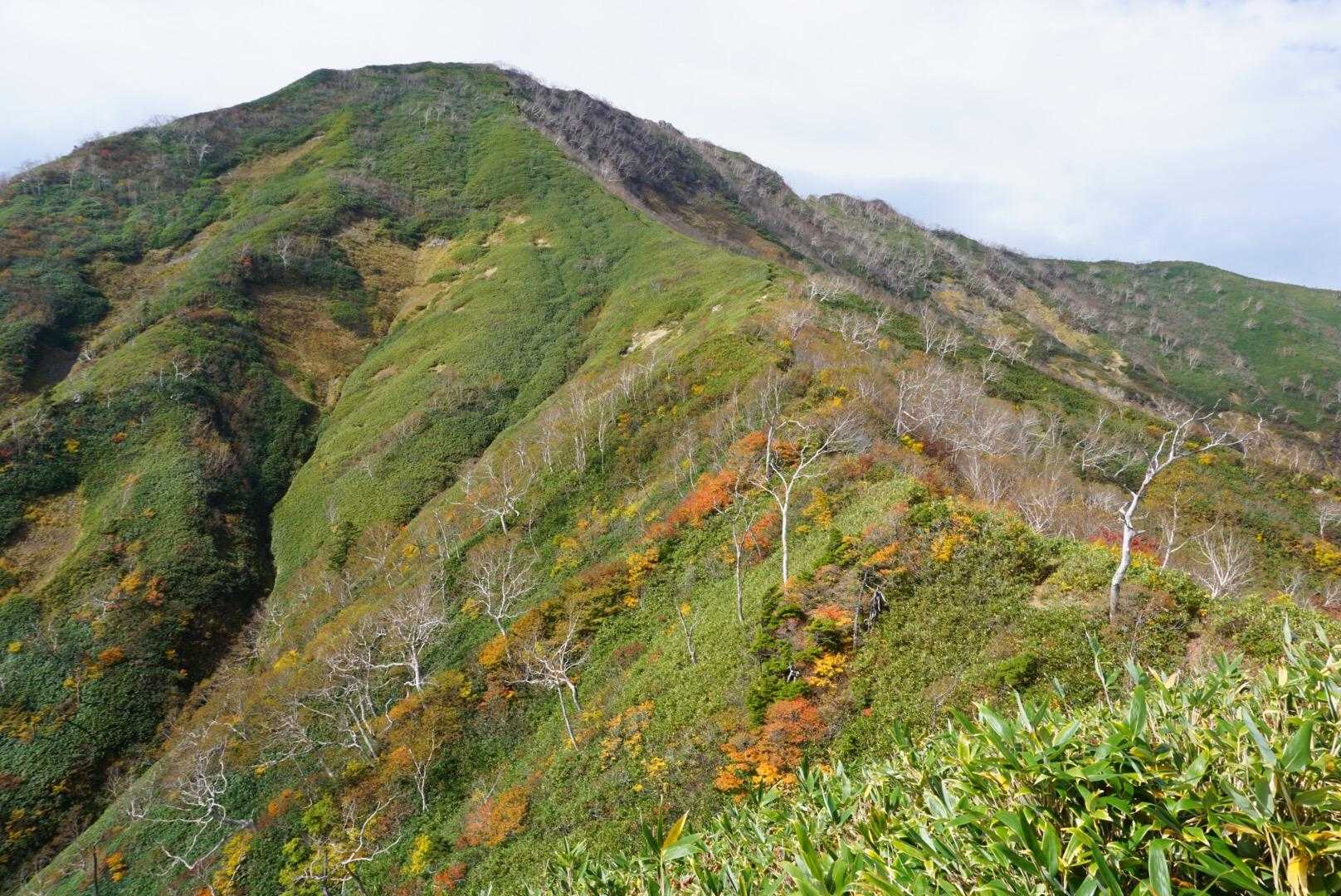【周回】 高妻山（戸隠キャンプ場）の写真