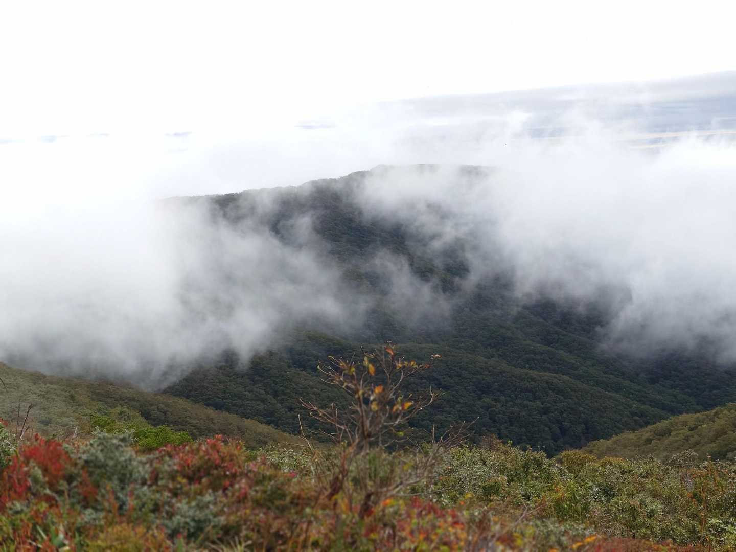 竜王山方面