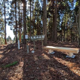 ホントすぐそこでした