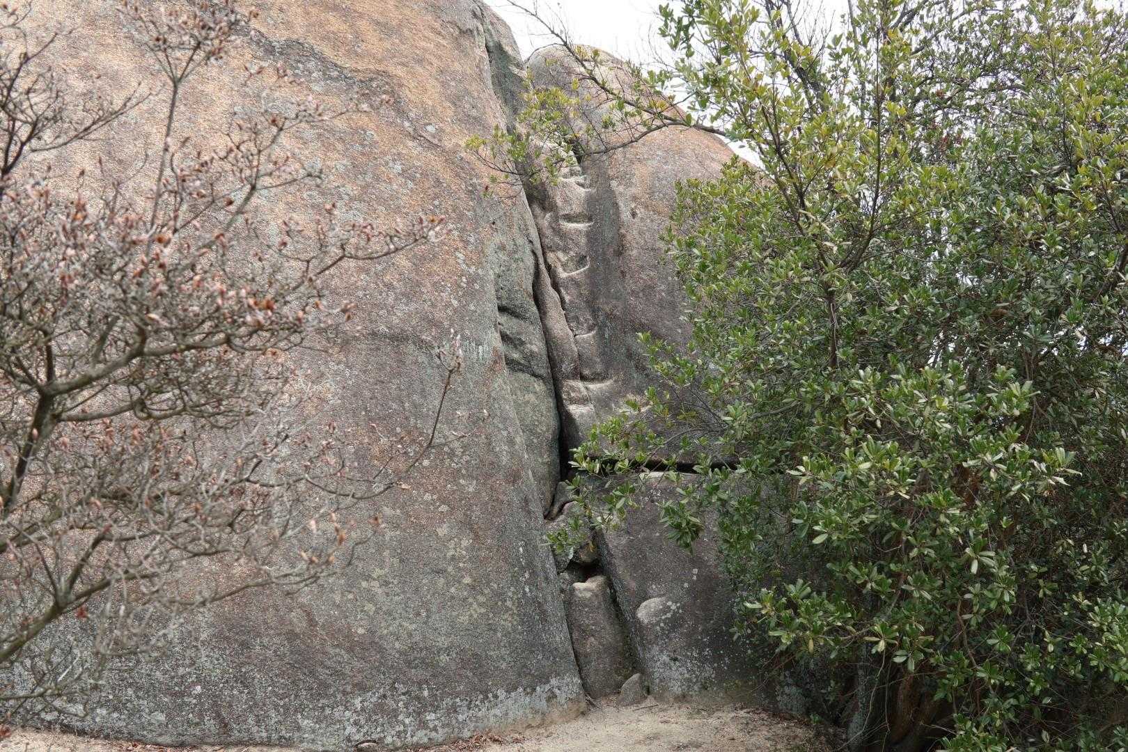 登ってみます
細い隙間を登ります😅