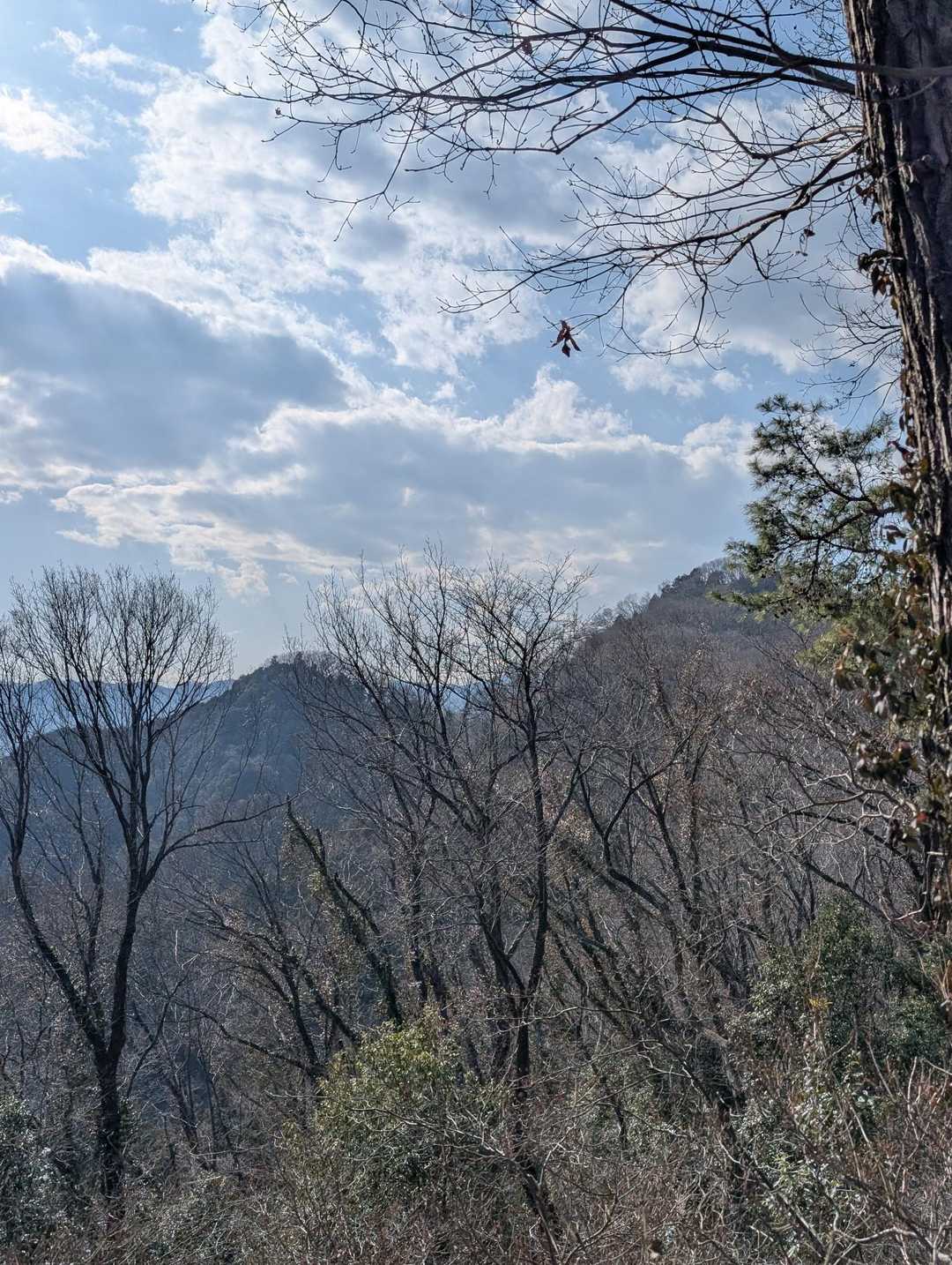 あの二つのお山が先ほど登った二つのピーク。
こうして見ると、遠くて大きく見えるからお山って不思議 🙄
登ったお山を見るのって楽しくて嬉しいな😚