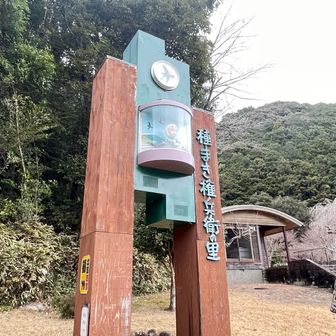 権兵衛の里　無料入園
観て回ろうと散歩していたら雪が吹雪いてきた💦