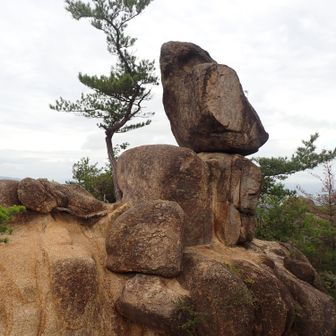 今日は天狗岩尾根コースで降りよう