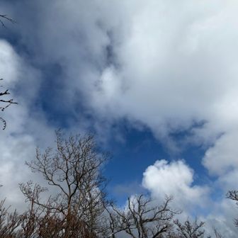 空を見上げて♡