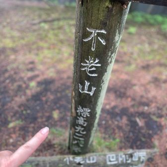 不老山⛰️到着！
写真など撮っている余裕なんてほんとは無い😱
襲われる‼️