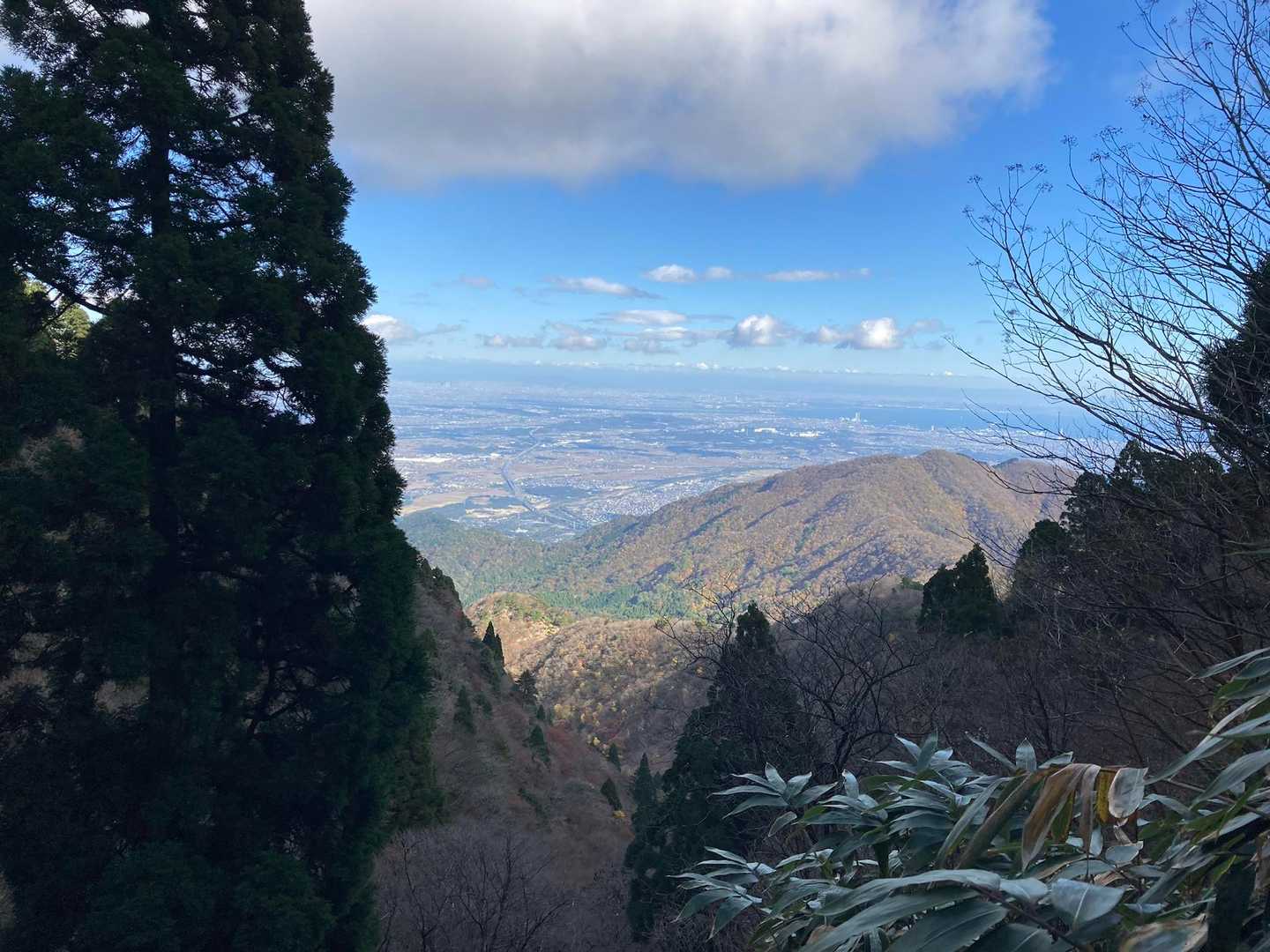キララと伊勢湾