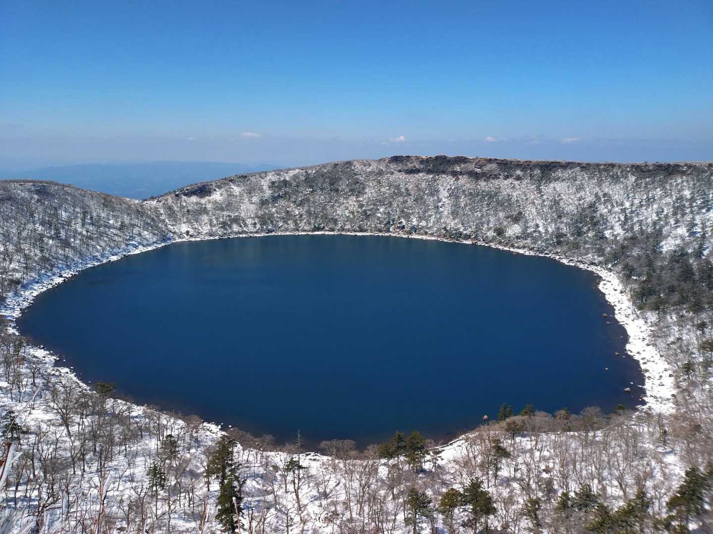 今日も神秘的なコバルトブルー🔵