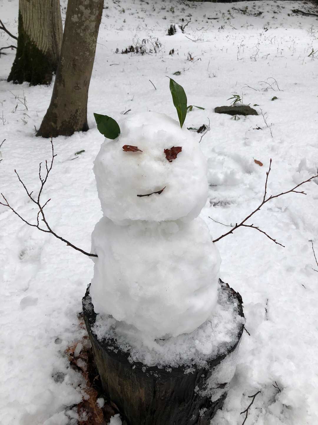 オマケ⛄️ 可愛くないな🤣