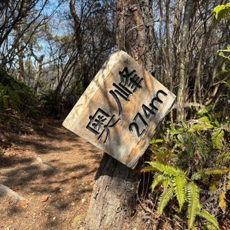 奥ノ峰、木にぶら下がっている