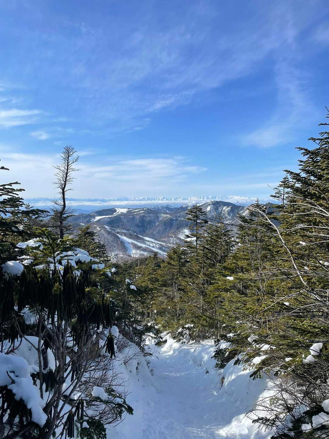 北アルプスを眺めながら歩けるので、
下山も同じルートで。