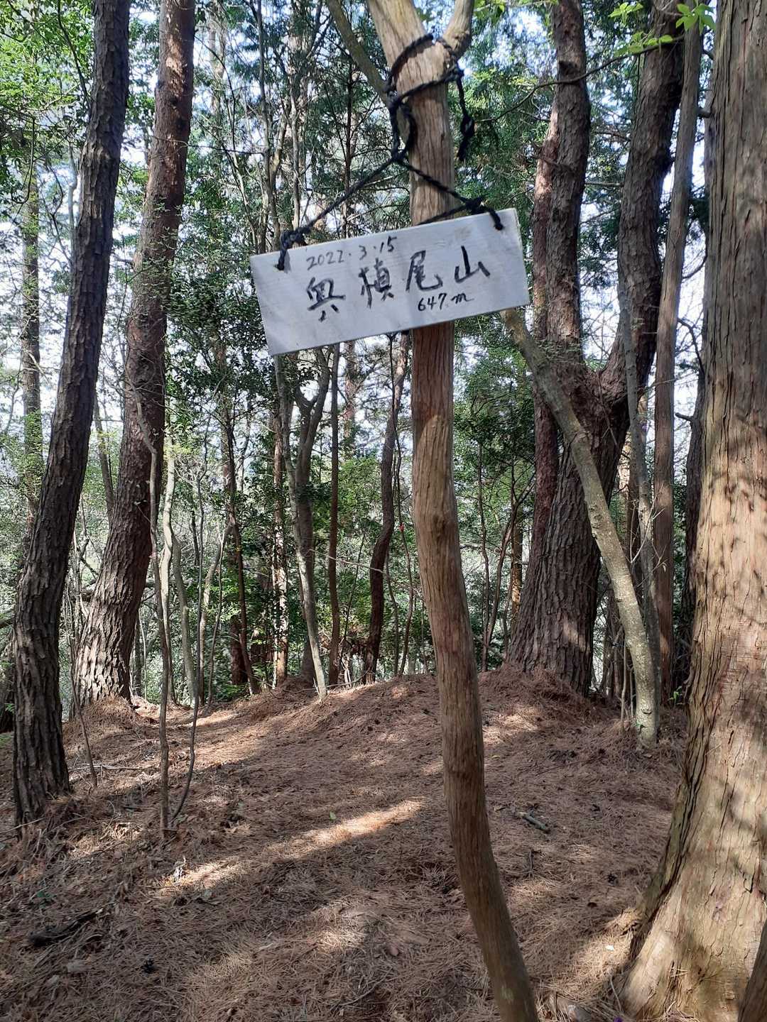 奥槙尾山までの登りは急坂、下りは別の道を選んだので楽チン道でした🎵