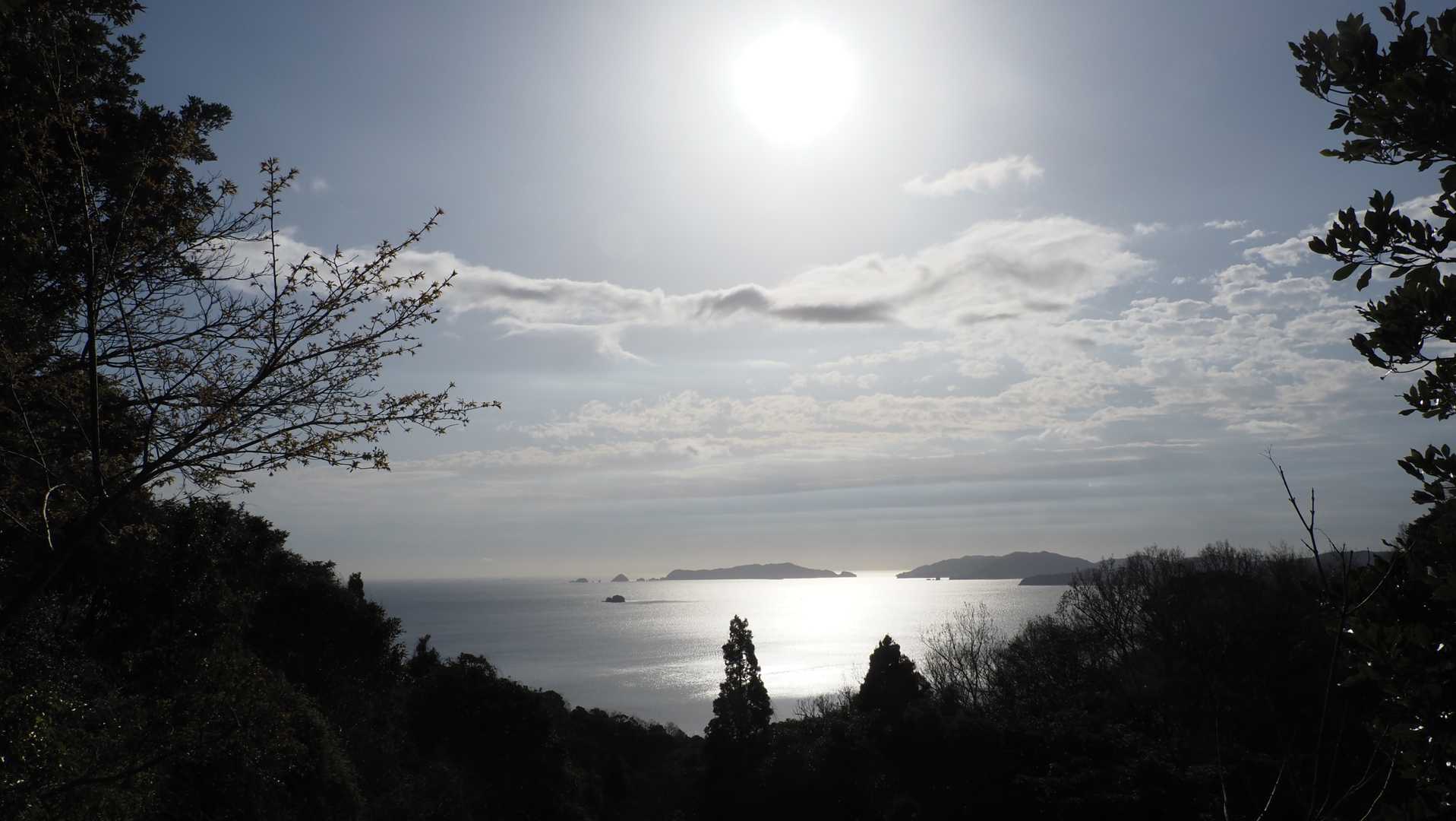 海が見えます。