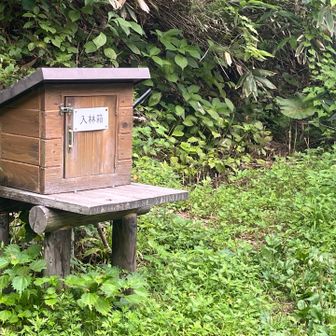 スタート！
登山口にアブいたけど、登山道にはいなかった😮‍💨🪰
