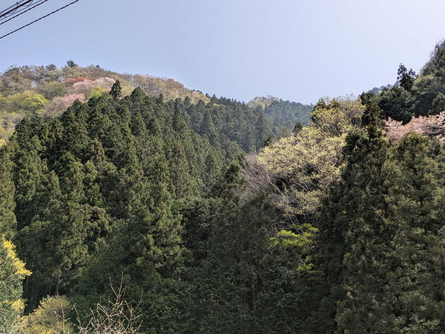 山笑う