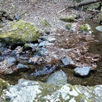 【注意喚起】
大滝への登山道は通行止めです💦
行きたい方は自己責任で……