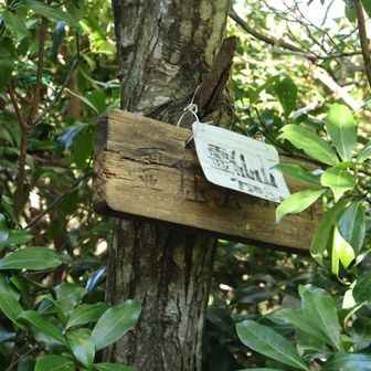 山頂には小さなプレートが