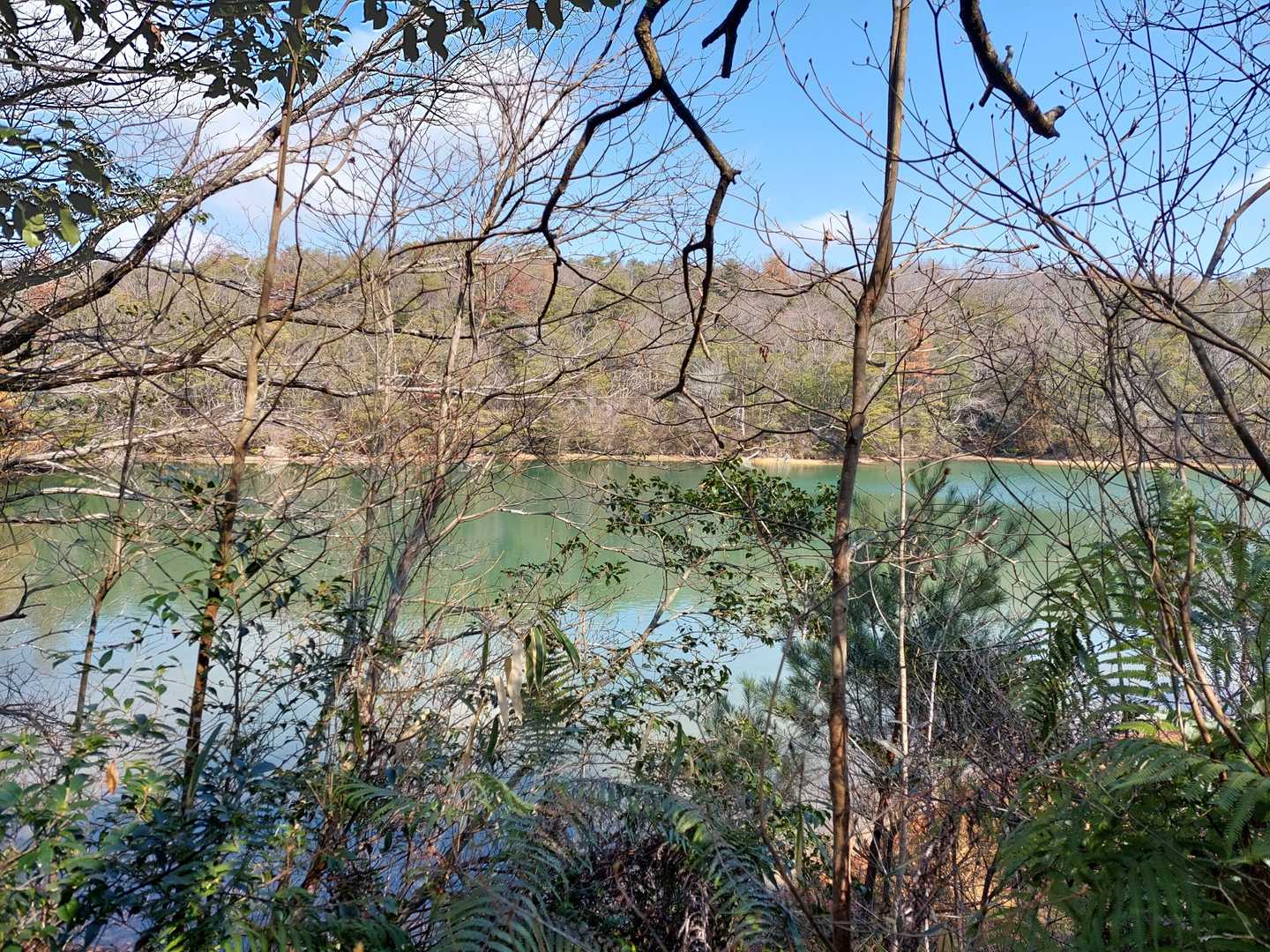 静ヶ池っていう溜め池。