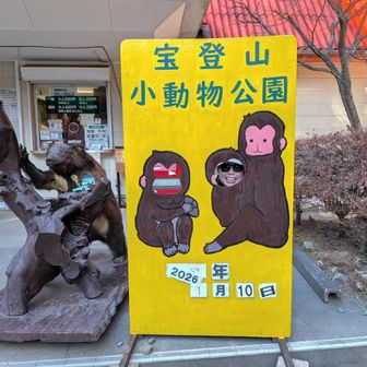 宝登山小動物公園🐵