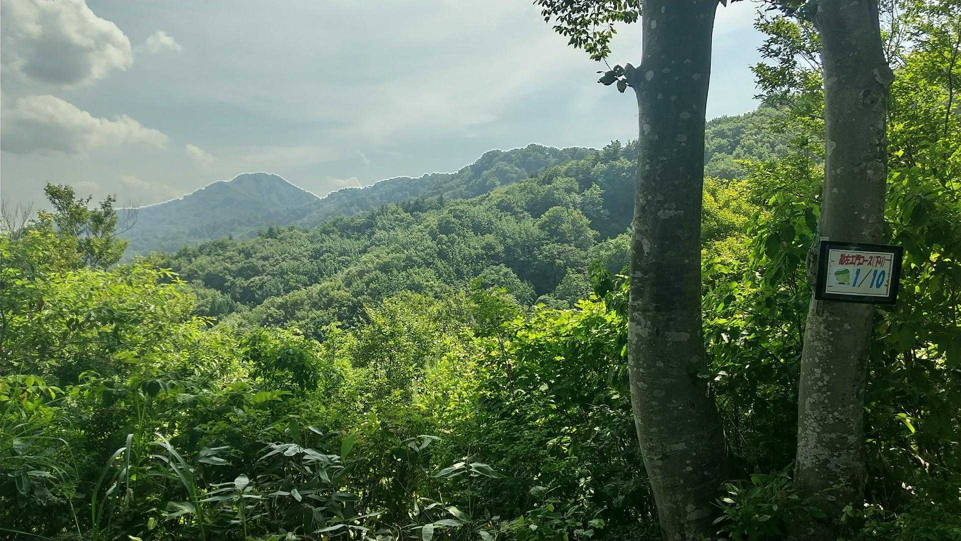 　八景台より。