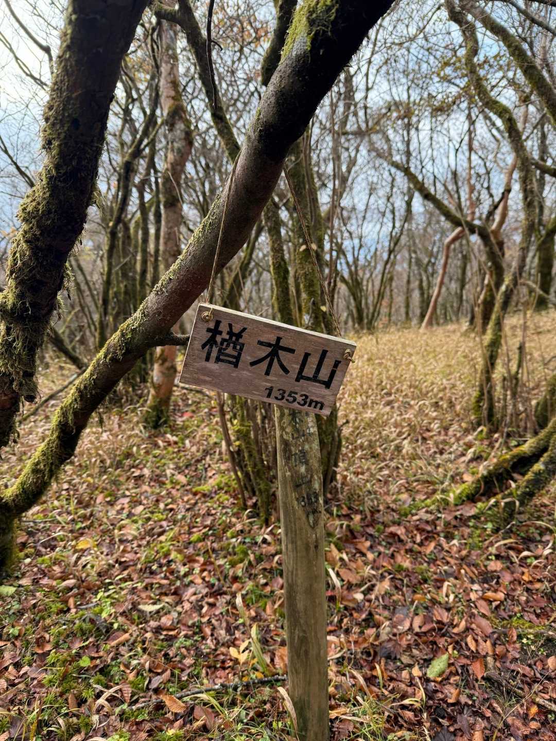 山蛭に会わずにすんだ。もうこの時期いないかな？