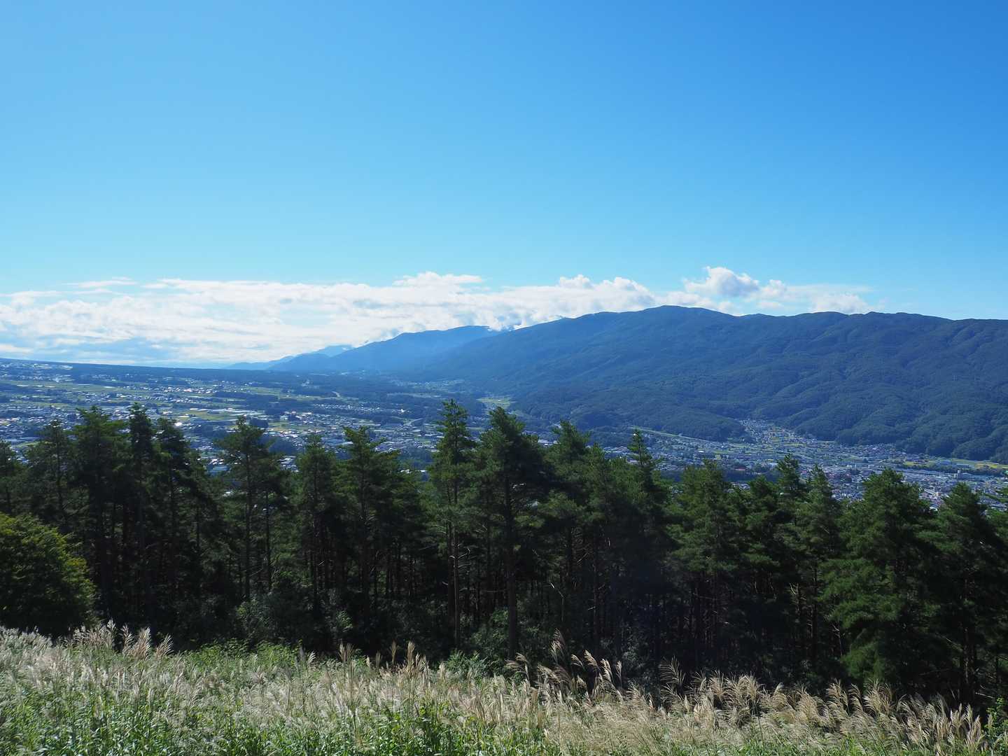永明寺山 往復コースの写真