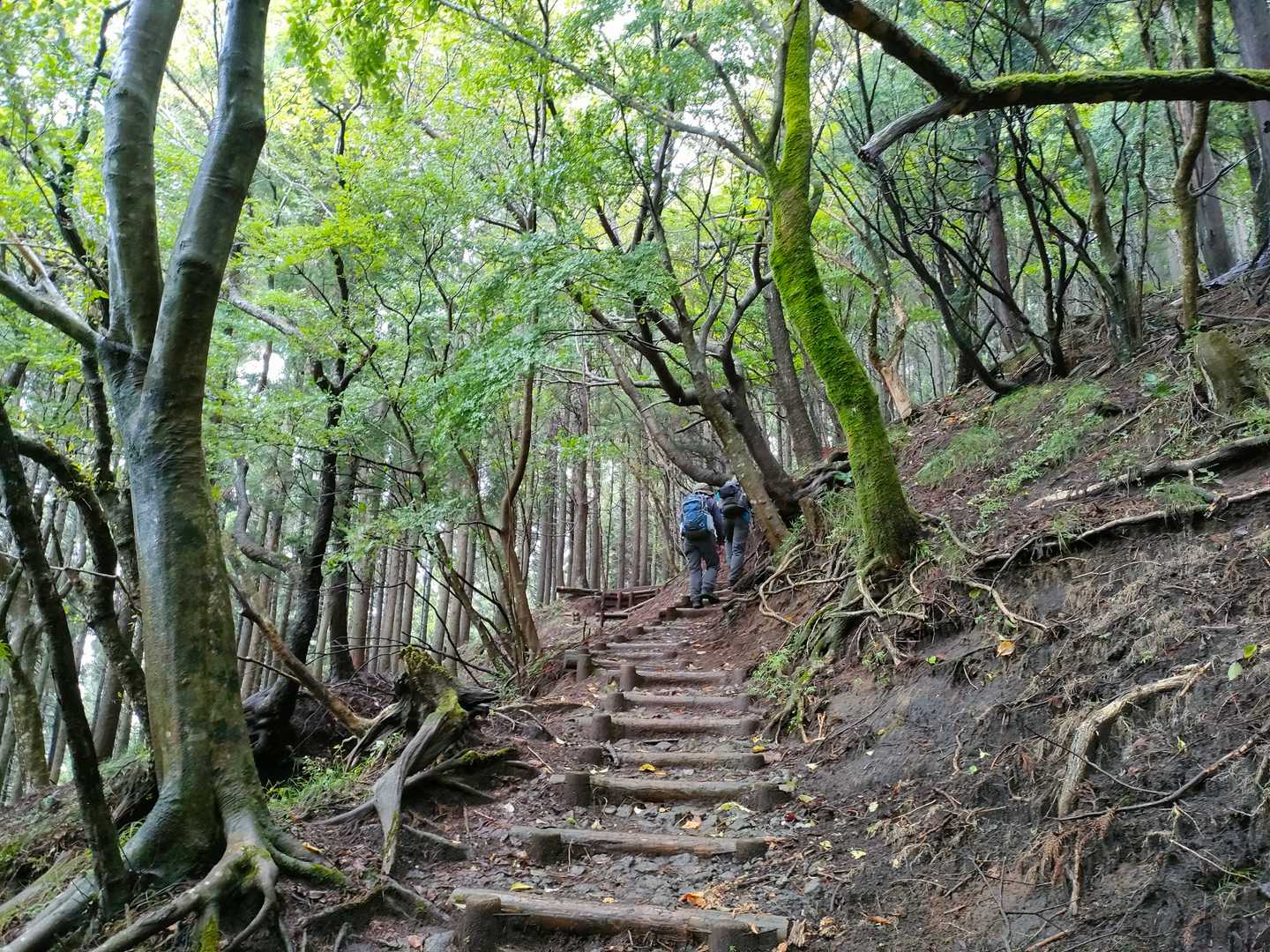 TAKKUNさんとtuyoさん
健脚です。👍　　私、腰痛いけど頑張ります（笑）