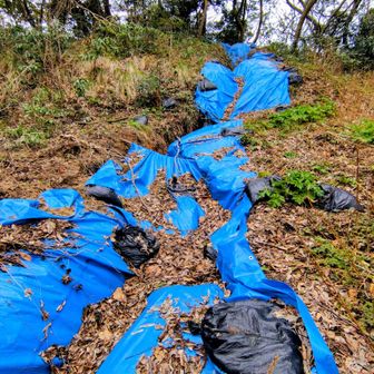 亀裂にブルーシート