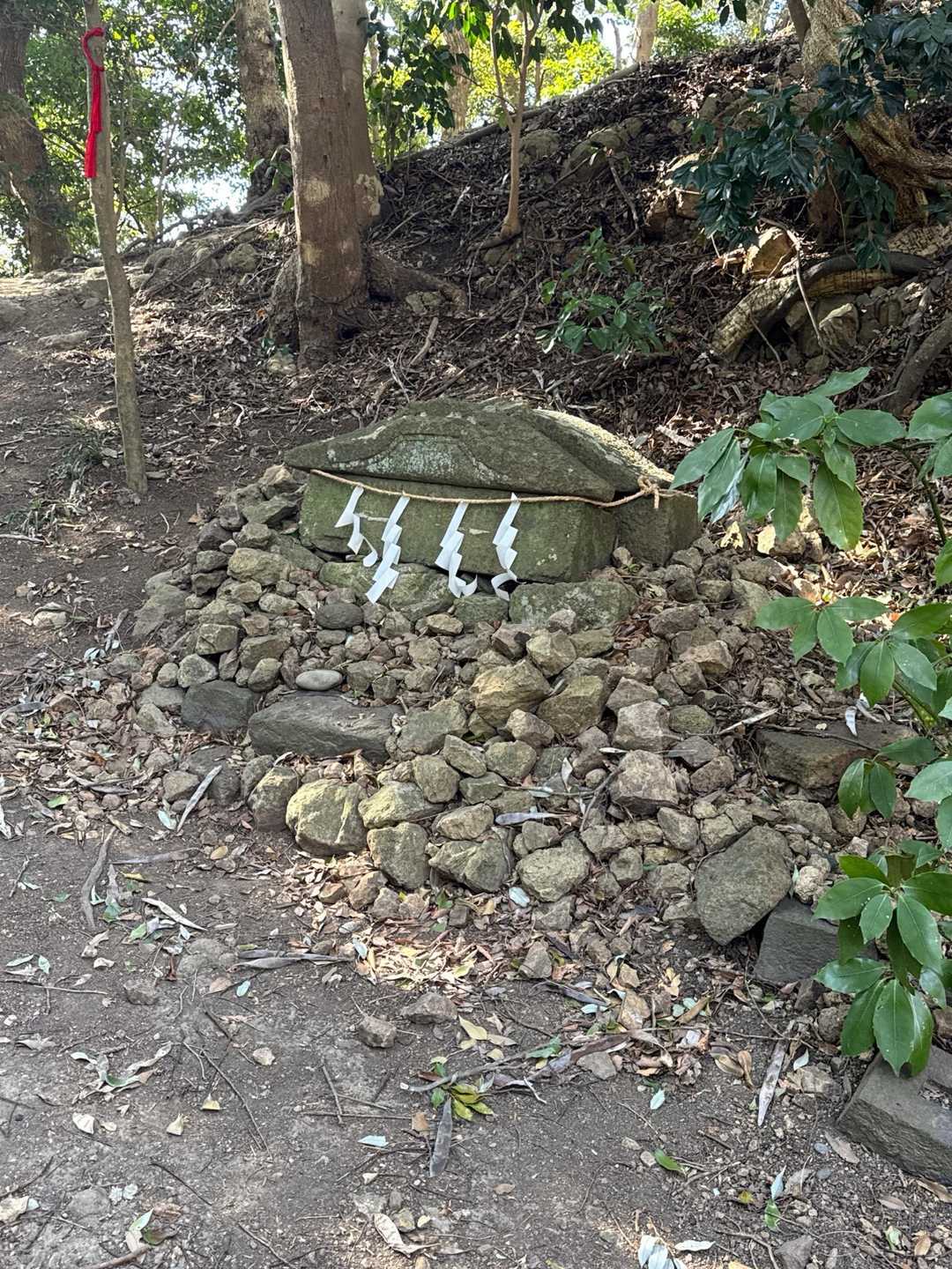 こちらにも🙏