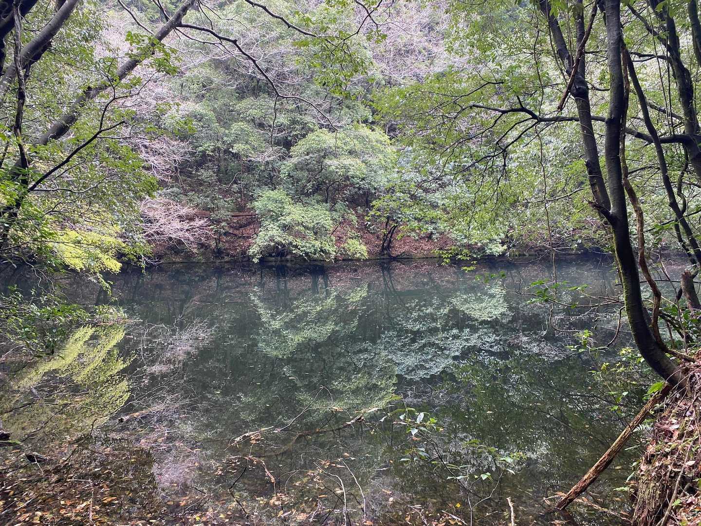穏やかな池に差し掛かる！