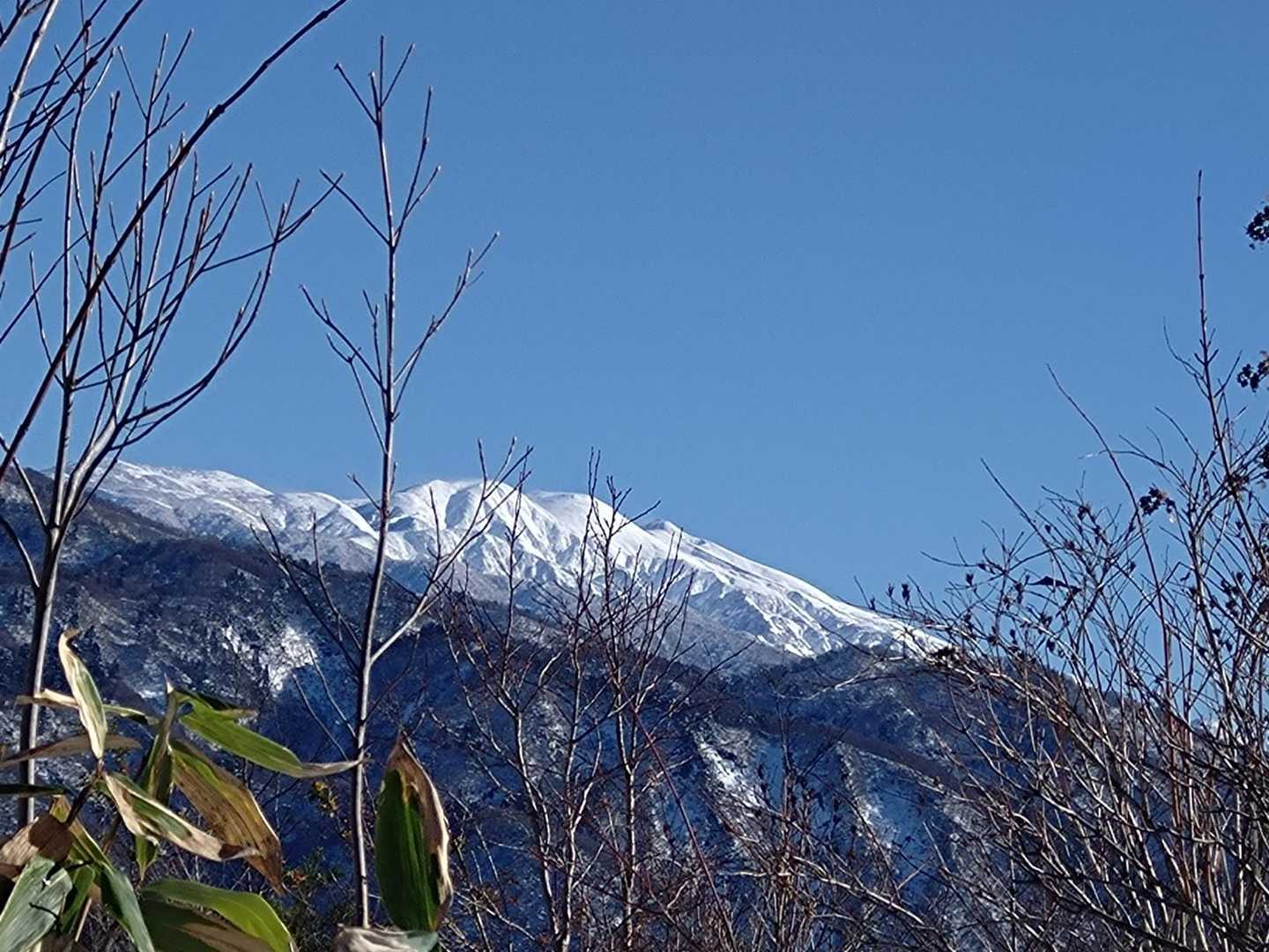 帰り道からも白山💕
葉っぱがない今だからこその眺め✨️
