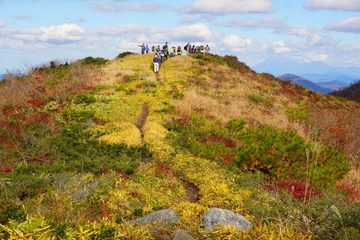 ひろしま県民の森登山口-展望園地-立烏帽子山-池ノ段-越原 周回コースの写真