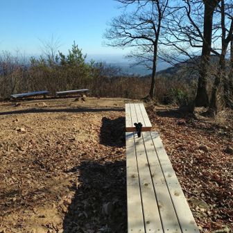 真新しいベンチがあって快適です。