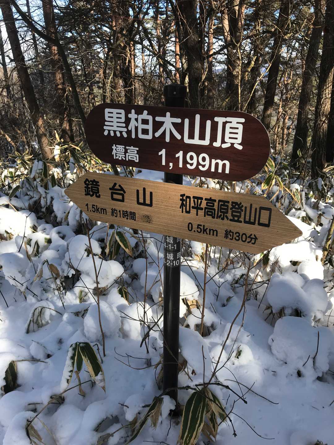 黒柏木山山頂に到着。すると、歩いてきた道にカモシカがいるではないか。