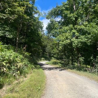 最後の嵐山は、未舗装路を通りました。ここで大量のよくわからない小虫にずっと追いかけられました😭走って逃げた💦