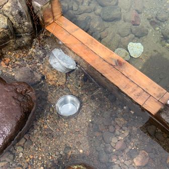 水はコンコンと湧いてました^ ^