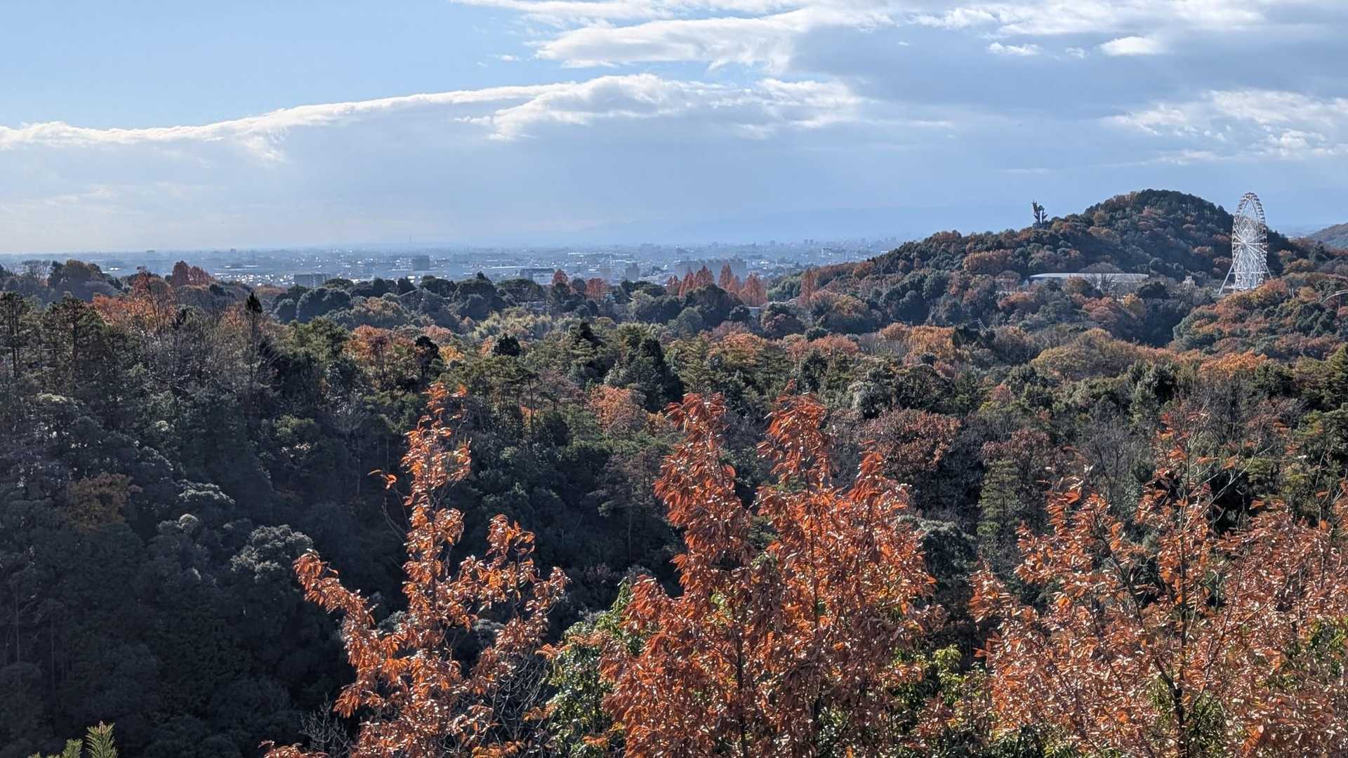 寂光院-継鹿尾山 往復コースの写真