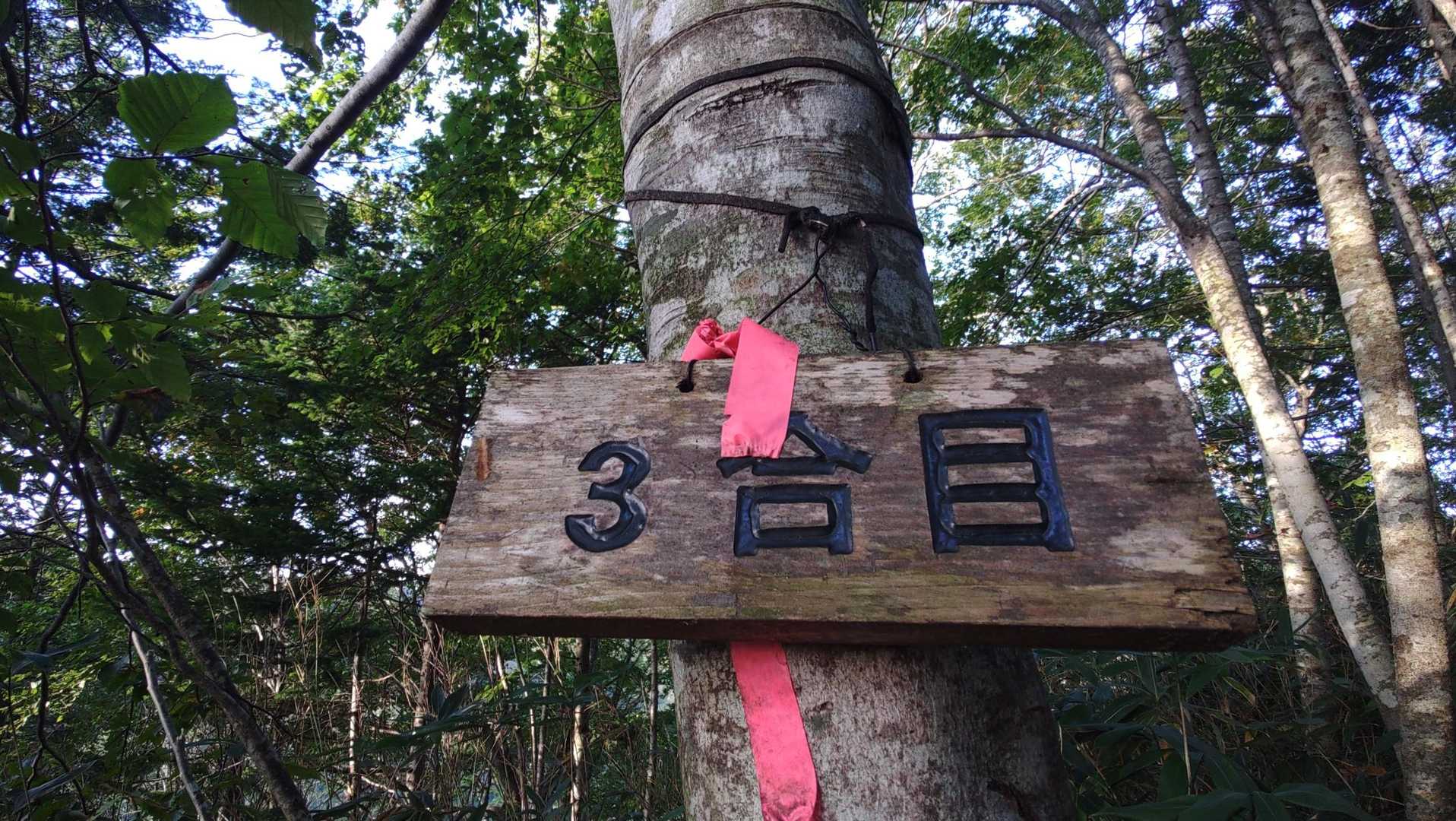なんでか撮った、3合目。