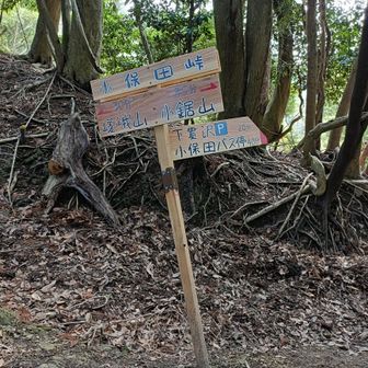 小鋸山方向へ