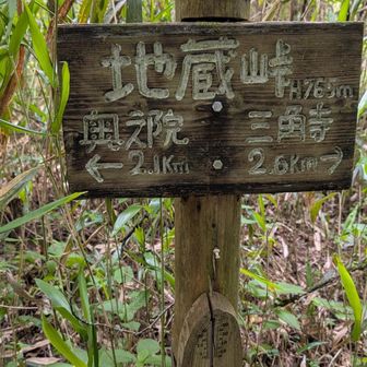 峠からは急登道を下る。　ココから別の遍路さんと二人旅😊