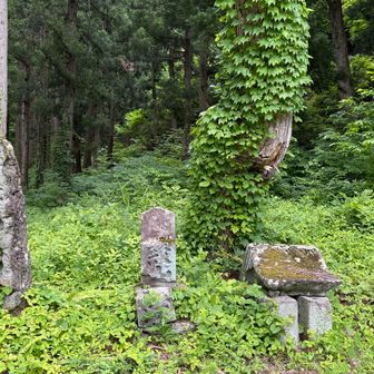 神社の裏にいろんな石祠