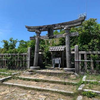 登頂⛰️
