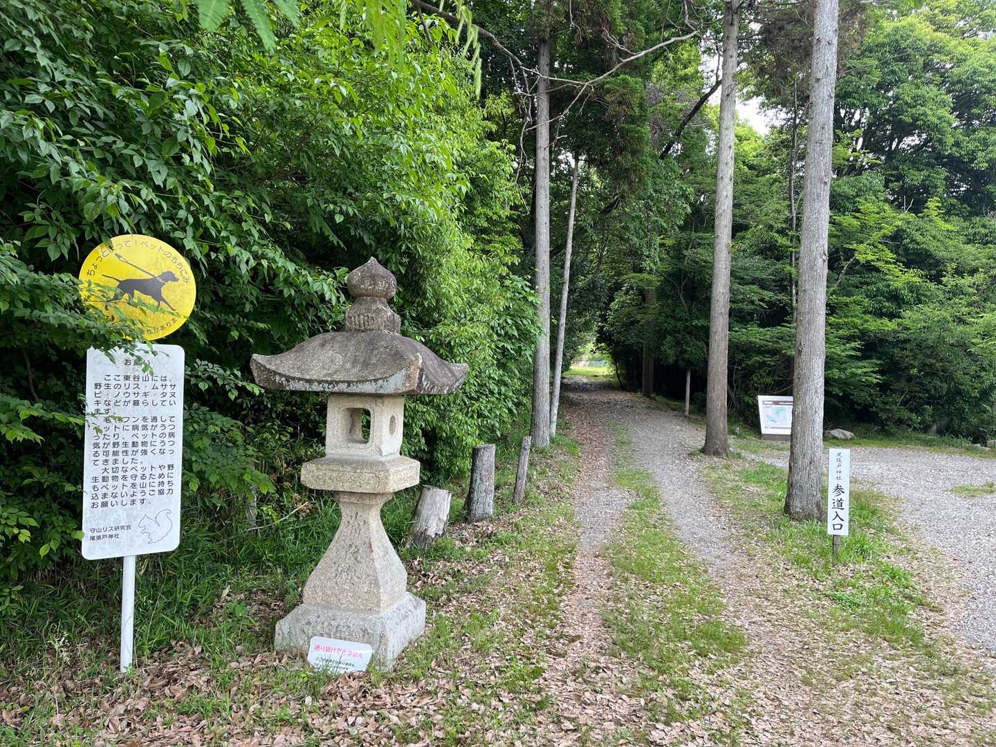 神社🅿️からスタート♪