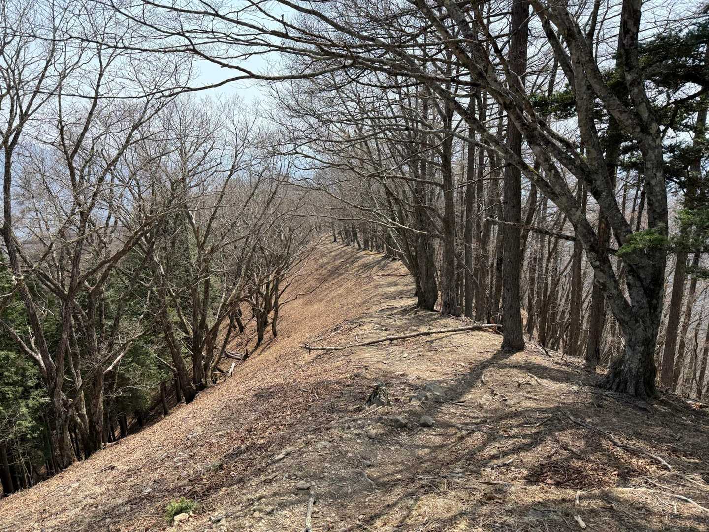 鷹ノ巣山-水根山-城山-六ツ石山-長尾ノ頭 周回コースの写真