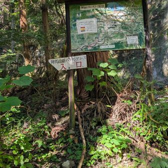 陣馬高原下バス停からスタートし、しばらく道路を歩いて登山口へ