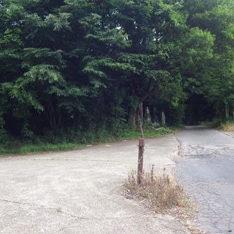 ３合目あたりでほぼ下山。この場所(登山口)に駐車している方もいらっしゃいました。麓はまだ曇りで乾いてます🐸